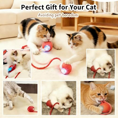 Interactive Cat Toy Ball, Automatic Rolling Toy, 3 Play Modes Rechargeable - color: Rose pink