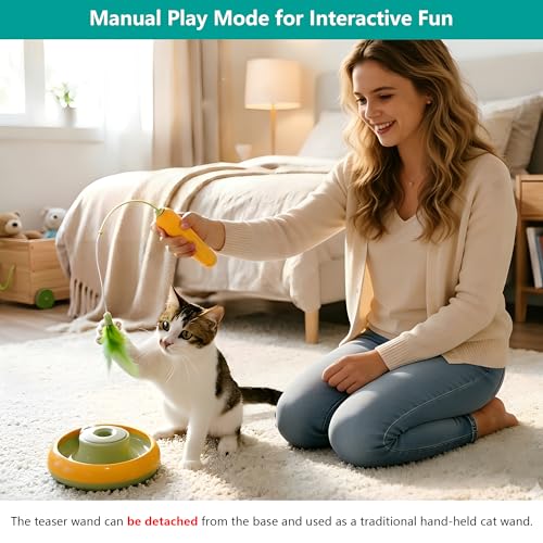 Detachable Interactive Cat Toy | Handheld Teaser Wand/Floor Play Dual-Use, Indoor Cat Toy