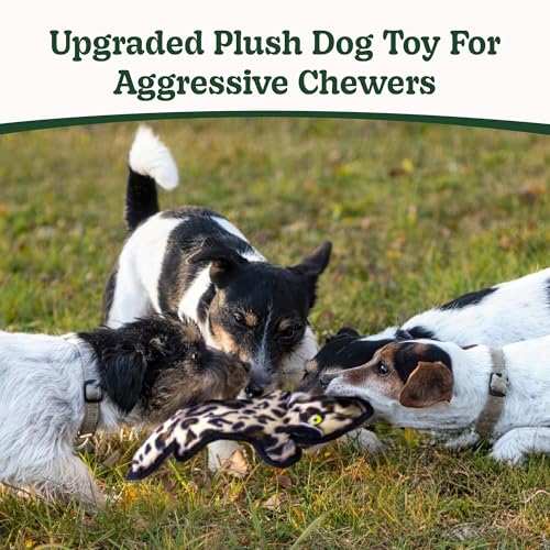 SHARLOVY No Stuffing Dog Toys Crinkle Squeaky, Long Lasting Chews for Aggressive, Durable Plush Dog Puppy Chew Toys for Teething, with 6 Tough Layers for Small Medium Large Breed-2 Pack,Large - color: Assorted 2 Pack, size: Large