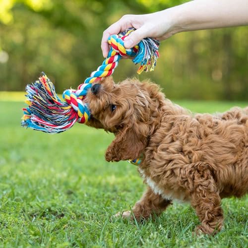 Jeffers Pet Rope Bone Dog Toy, Multi-Colored, 16" – Durable Braided Rope for Tug of War, Chewing & Fetch – Interactive Play for Pets – Machine Washable Dog Game Toy, Supports Healthy - color: Multicolor, size: 16 Inches