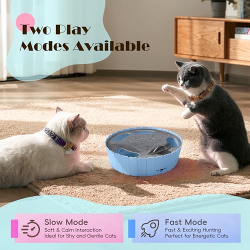 Pawaboo Interactive Cat Toy with Running Mouse, Automatic Track Kitten Toy - color: C-Blue