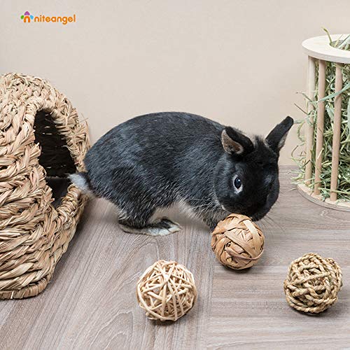 Niteangel Natural Chew Activity Toys: Meets Small Pet Chewing Needs & Mood - color: 3 Balls