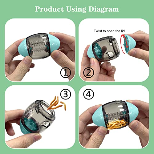 ALI2 Lizard Feeder Toys Bearded Dragon Enrichment Reptile Interactive Rugby Shape Toy for Bearded Dragon, Lizard, Gecko and Small Animals - color: Green