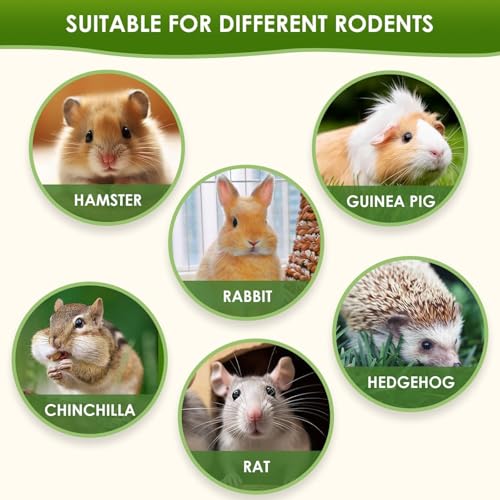 Guinea Pig Chews, Premium Chicory Chew Sticks for Rabbits, Guinea Pig Toys 100% Natural Digestive Aid, Dental Health, Anxiety Relief Chew Toys - Safe Fiber Snack for Rabbit, Chinchilla, Hamster, Rat