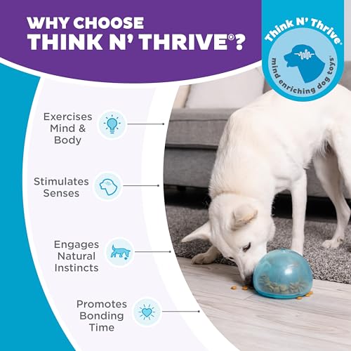 Outward Hound Snoop Interactive Treat Dispensing Dog Toy, Blue, 5" - color: Blue
