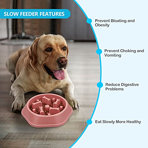 UPSKY Slow Feeder Dog Bowl Anti-Chocking Slower Feeding Pet Puzzle Bowls - color: Pink