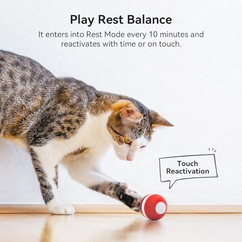 Cheerble Interactive Cat Ball Toy, Automatic Moving Ball Toy for Indoor Cat Kitten, Electric Pet Toy Fun Gift with Light, High Energy Cat Toys, Red - color: Red