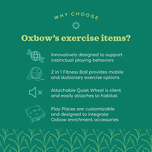 Oxbow Run & Rattle, Rabbit & Guinea Pig Chew Toy, Bunny Enrichment Toy