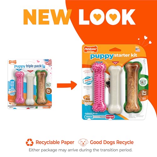 Nylabone New Puppy Starter Kit, Puppy Teething Toys, 3 Pack, Pink - color: Pink, size: Small