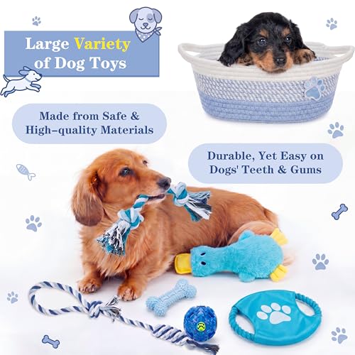 Zopeal Dog Toy Gift Basket Set for Puppy Birthday, Blue - color: Blue