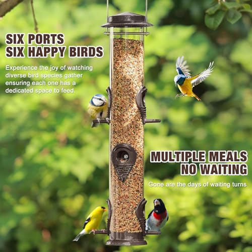ERYTLLY Metal Bird Feeders - Tube Feeder for Wild Birds, 1.4mm Thick Transparent Tube, Squirrel Proof Hanger - color: Coffee-Metal 6 Feeding Ports
