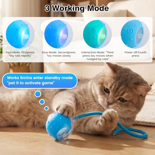 ZUAMEGUPetToy, Interactive Cat & Dog Ball Toy with Bird Sounds, Rechargeable 360° Smart Auto-Rolling Electric Pet Ball Toy (with Leash), Suitable for Indoor & Outdoor Use (Blue)