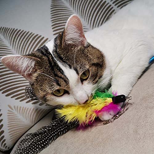 Cat Feather Toys Refills, 10 Pieces Worms Feathers Refills, Cat Wand Replacement Feathers Toy for Indoor Cats - color: Style-A