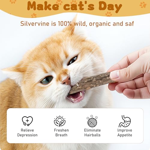 WoLover 12 PCS Silvervine Sticks for Cat, Natural Matatabi Chew Toys - size: 12 Count