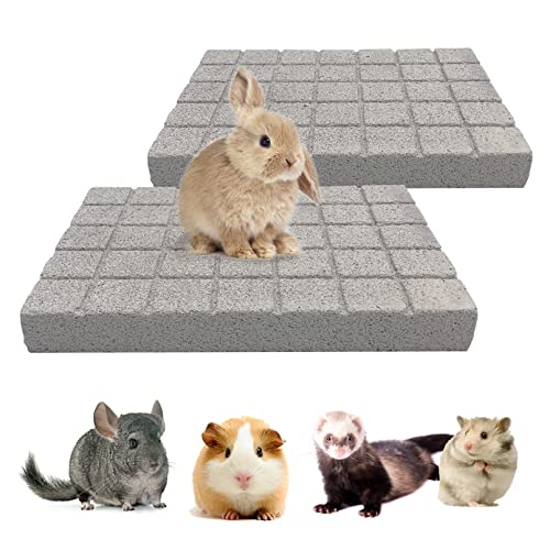 BNOSDM Rabbit Grinding Claw Pads Bunny Scratch Foot Pad 2Pack Natural - color: White 2x Large