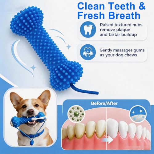Dog Dental Chew Toy, Dual-Action Canine Dental Prop Mouth Opener with Adjustable Strap, PVC Bite & Brush Teeth Cleaning Toy for Small Medium Large Dog