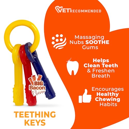 Nylabone Puppy Chew Teething Keys Dog Chew Toy, Bacon Flavor, Medium - size: Medium