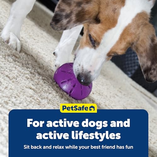 PetSafe Busy Buddy Twist 'n Treat Dispensing Dog Toy, Large - size: Large (Pack of 1)
