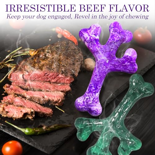 Frienhund 4 Pack (Cactus) Indestructible Tough Dog Toys for Aggressive Chewers: Beef Flavored Chew Bone for Large Dogs 20-90 lbs, Long Lasting & Keep Them Busy - color: Purple & Green