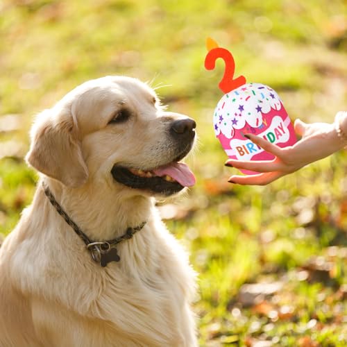 Dansydaisy Dog Birthday Cake Toy Squeaky Plush Gift,2nd,Pink - color: Pink, style: 2nd