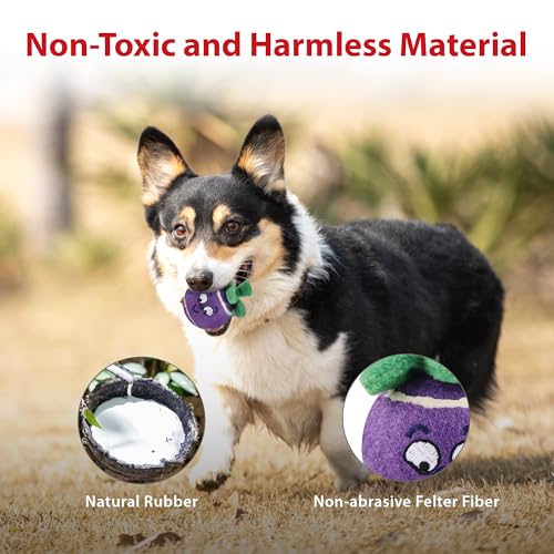 Gigwi Squeaky Tennis Balls for Dogs, 3 Pack Fruit Dog Ball for Small Dogs - color: Fruit Balls 2.2 Inches 3 Pack