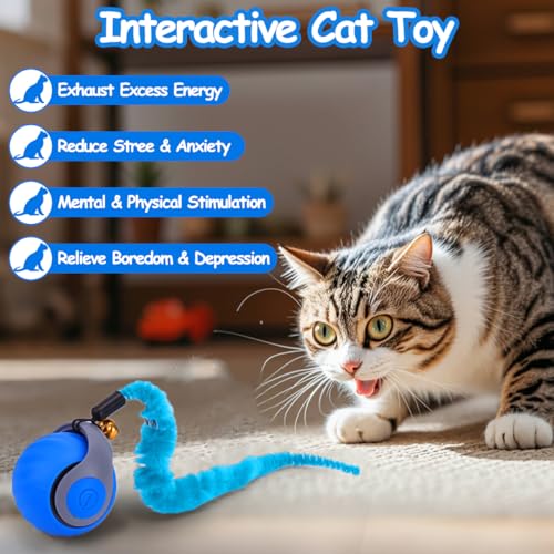 Mity rain Interactive Cat Toy Ball, Rechargeable Cat Toys for Indoor Cats - color: Blue