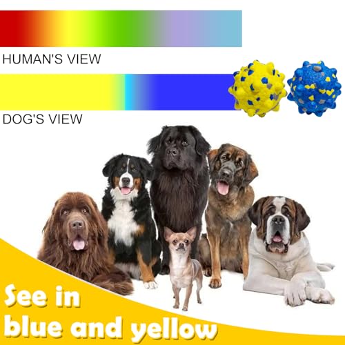 4PCS Tennis Balls for Dogs, Indestructible Durable Bouncy Toy Balls, Medium