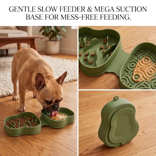 Collapsible Dog Travel Bowl with Lid, Slow Feeder (Green) - color: green