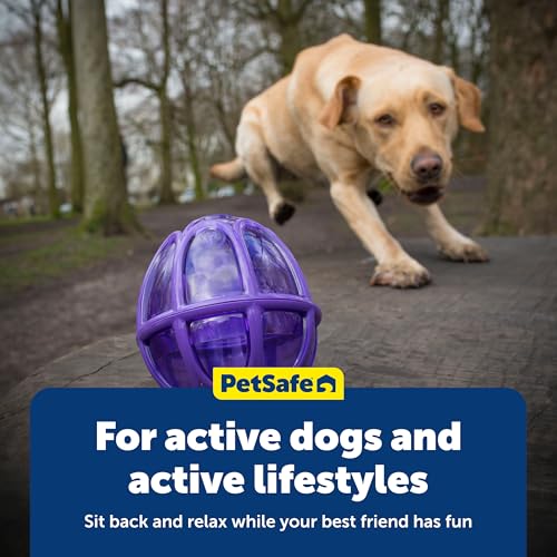 PetSafe Busy Buddy Kibble Nibble Treat Dispensing Dog Toy, Medium/Large
