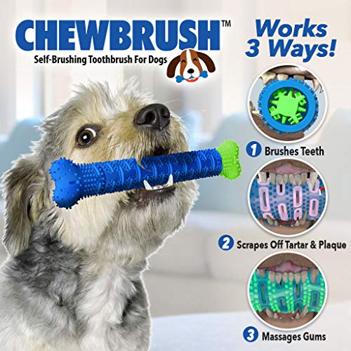 BulbHead Chewbrush Toothbrush and Toy - No Dog Toothpaste Required - Great Teeth Cleaning Toy (3 Pack) - size: 1 Count (Pack of 3)