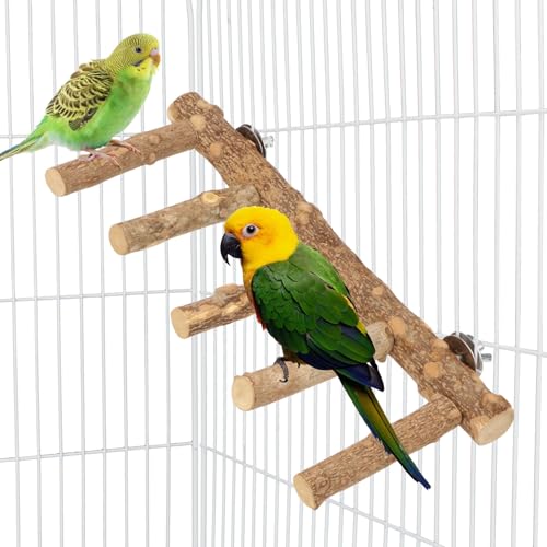 Hypeety Bird Ladder Perch for Cage Natural Wood Climbing and Chewing Toy