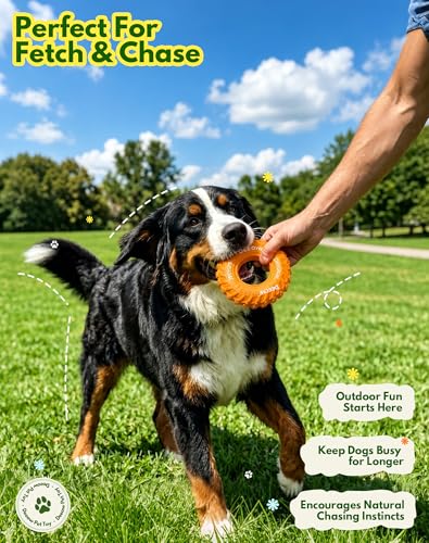 Deeow Dog Chew Tire Toy, Natural Rubber Puppy Teething Ring-6.3'' Orange - color: Orange Only