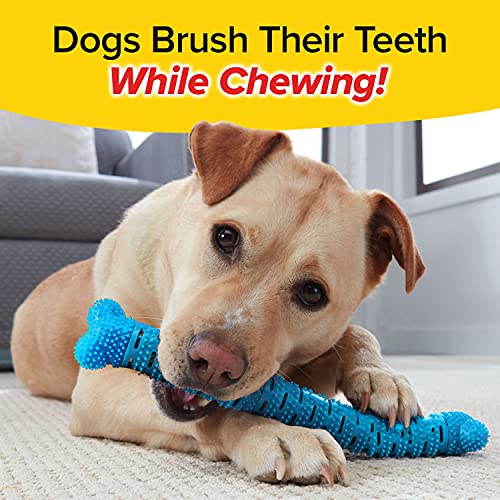 BulbHead BrushBone Doggy Toothbrush Chew Toy, Plaque & Tartar Remover - color: Brush Bone, size: 1 Count (Pack of 1)