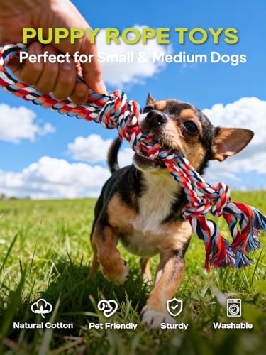 TwoEar Dog Rope Toy 9 Pack - Puppy Teething Toys for Small Medium Breed - color: Blue, size: Mini/Small