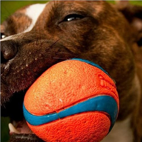 Chuckit! Ultra Ball Dog Toy - Size XXL - for Dogs 100+ lbs - Made from Durable Rubber - Super Bouncy - Floats in Water - 4-inch Diameter - XXL (Pack of 12) - color: Ultra, size: XXL (Pack of 12)