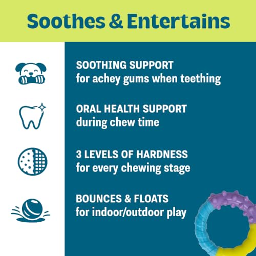 Grow-With-Me Ring Dental Dog Chew Toy, Bounces & Floats, 4.7" - color: Ring