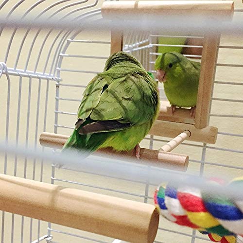 HANZE Bird Mirror Swing with Rattan Ball, Natural Wood Parrot - 2 Pack - color: 2 Pack