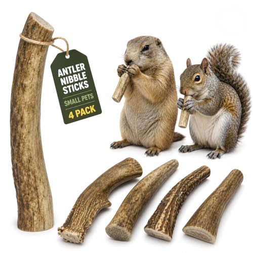 WhiteTail Naturals Small Animal Antler Chews, 4 Pack Gnaw Stick Toys