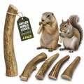 WhiteTail Naturals Small Animal Antler Chews, 4 Pack Gnaw Stick Toys