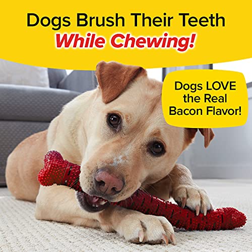 BulbHead Bonanza Bone Toothbrush, Infused with Real Bacon Flavor – Dogs Brush Chewing, Plaque and Tartar Remover for Teeth, Works 3 Ways to Clean While They Play, 8 in. x 2 in, Red - color: Brush Bone Bacon, size: 1 Count (Pack of 1)