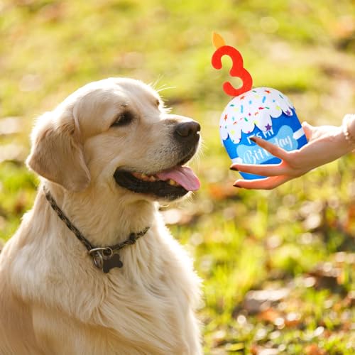 Dansydaisy Dog Birthday Cake Toy Squeaky Plush Gift,3rd,Blue - color: Blue, style: 3rd