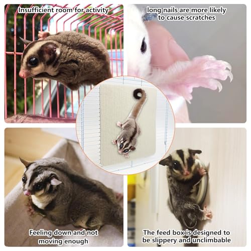 BNOSDM 6 Piece Sugar Glider Toys, Self-Adhesive Sugar Glider Climbing Mats Cage Accessories Set for Scratching Claws Sharpening Pads for Wall or Furniture Saving Space