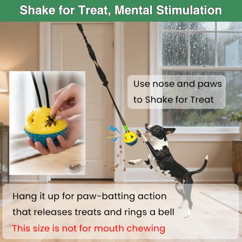 Dog Door Bungee Tug Toy, 4 Pieces, Small Medium Dogs 20 to 50lbs