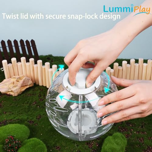 5.9 inch Hamster Ball, Exercise Toys, Running Clear Plastic Balls, Easy to Clean, Portable Cage, for Small and Medium Hamsters,Dwarf Hamster, White Lid - color: White