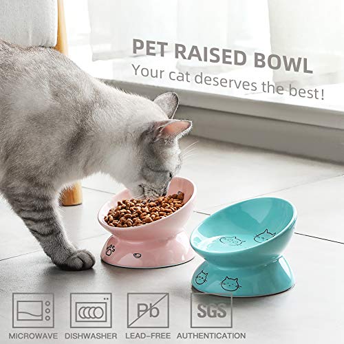 Sweejar Ceramic Raised Cat Bowls, Slanted Cat Dish Food or Water Bowls, Elevated Porcelain Pet Feeder Bowl Protect Cat's Spine, Stress Free, Backflow Prevention (Turquoise) - color: Turquoise, style: 5 Inch