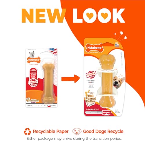 Nylabone Power Chew Original Bone Chew Toy, Peanut Butter Flavor, Small - size: Small