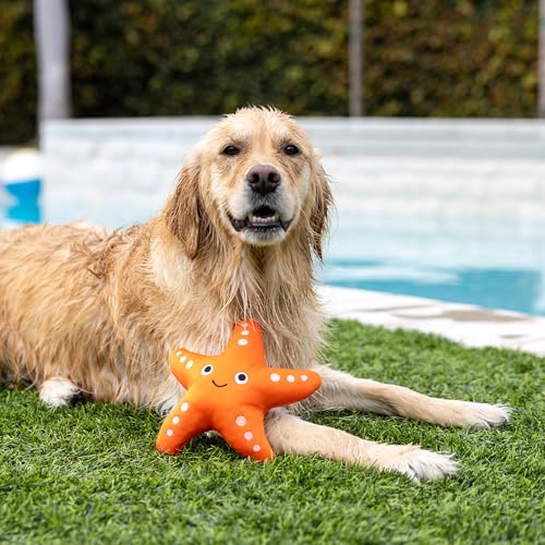 Fringe Studio Shelly Floating Dog Toys, Pet Shop Collection (640004) - color: Shelly