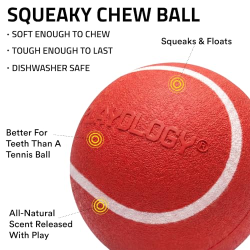 Playology Squeaky Chew Ball Dog Toy - Small, Beef Scent, 3-Pack - size: Small (VALUE 3-Pack), style: Beef