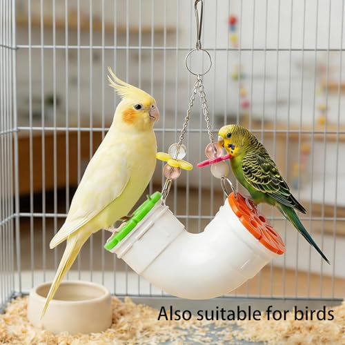 Rat Enrichment Toy, Mouse Interactive Foraging Toys for Various Treats