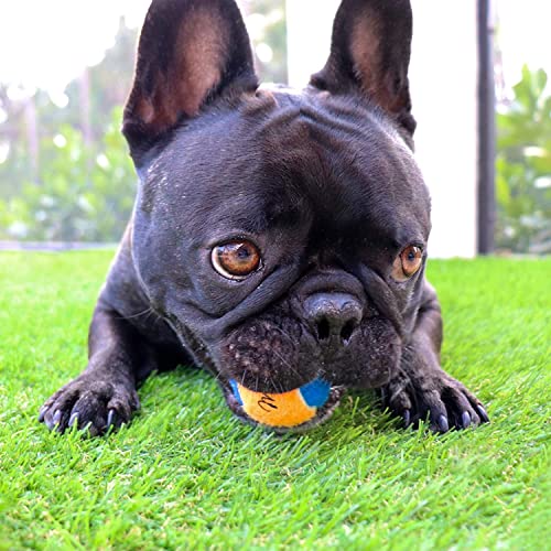 Midlee X-Small Dog Tennis Balls, Assorted, 1.5", Pack of 12